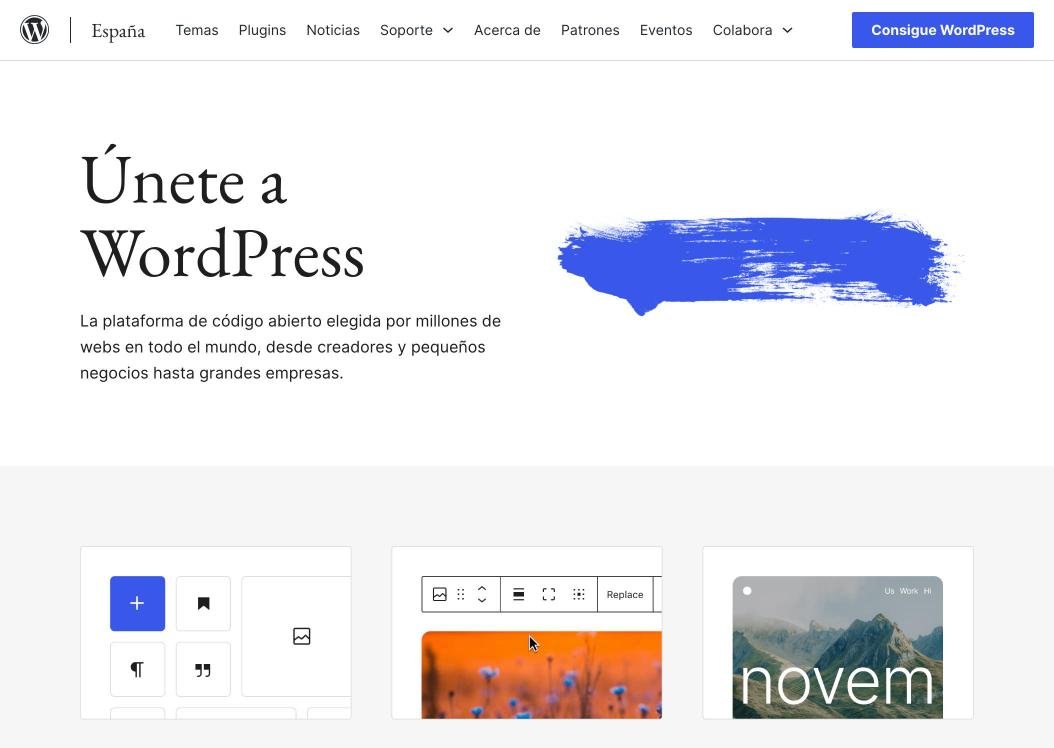 Wix o WordPress: cuál conviene para tu página web